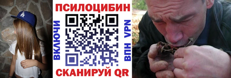 как найти наркотики  Донской  Галлюциногенные грибы мицелий 